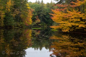 Town of Peterborough-7761