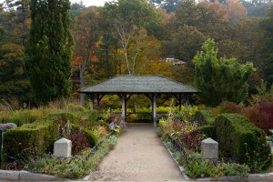 Town of Peterborough-7897