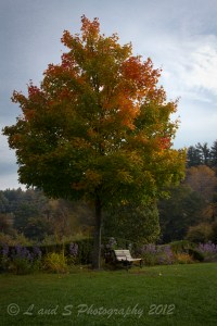 Town of Peterborough-7930