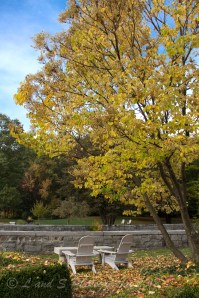 Town of Peterborough-7939