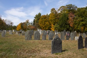 Town of Peterborough-8029