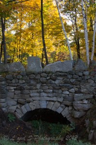 Town of Peterborough-8114