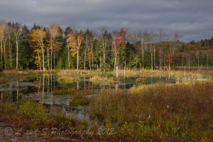 Town of Peterborough-8147