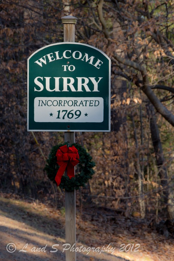 Surry-3