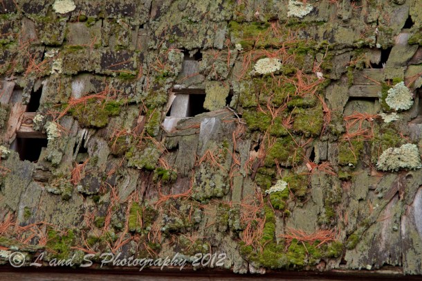 A roof with lots of character