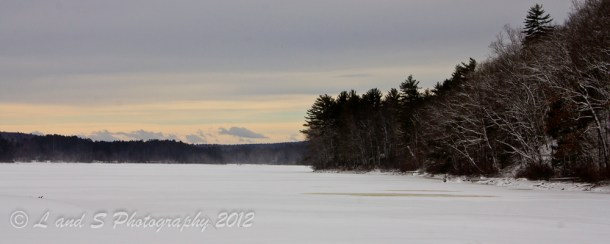 Looking across Ayer's Pond