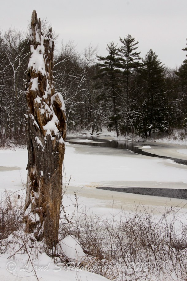 2012Dec30 Barrington-1056