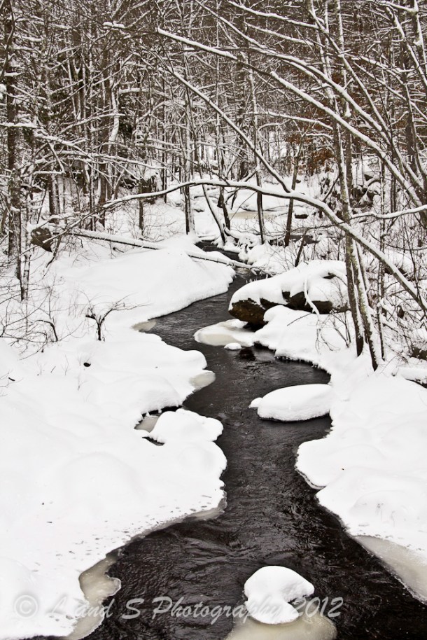 2012Dec30 Barrington-1059