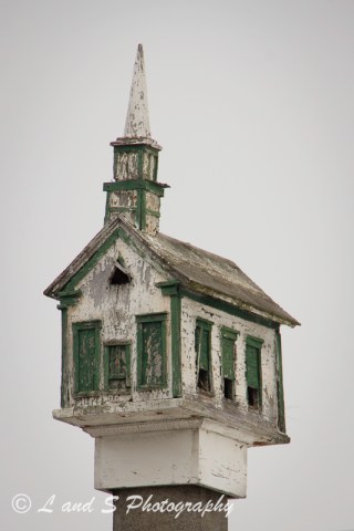 Jan13 Greenville-2002