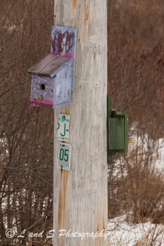 Jan13 Greenville-2009