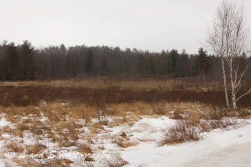 Jan13 Greenville-2014