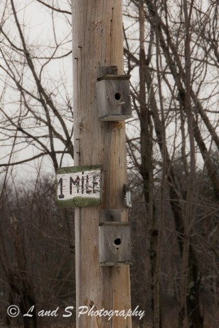 Jan13 Greenville-2016