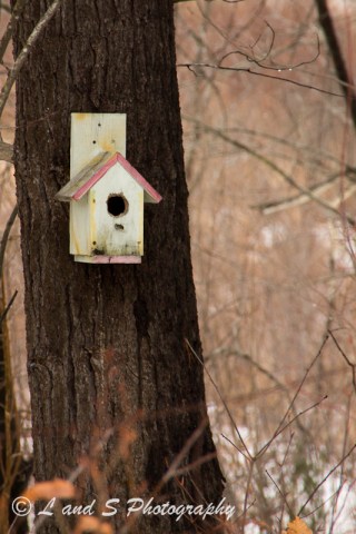 Jan13 Greenville-2024