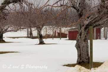 Jan13 Greenville-2044