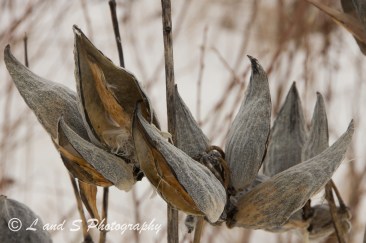 Jan13 Greenville-2053