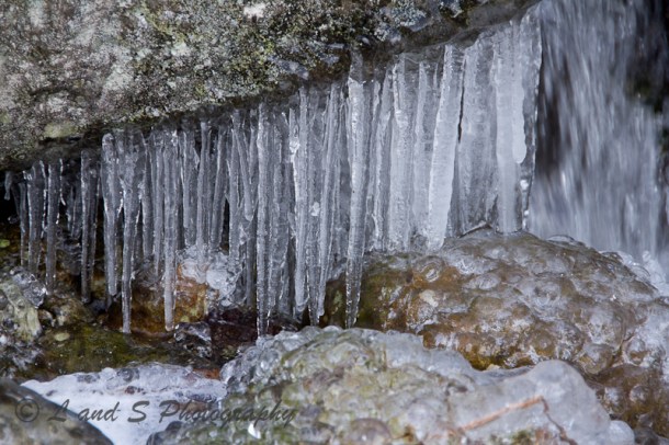 2Feb1 Harrisville-2406