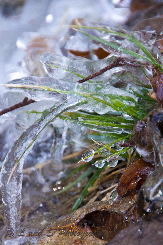 2Feb1 Harrisville-2416