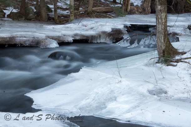 2Feb2 Harrisville-2535