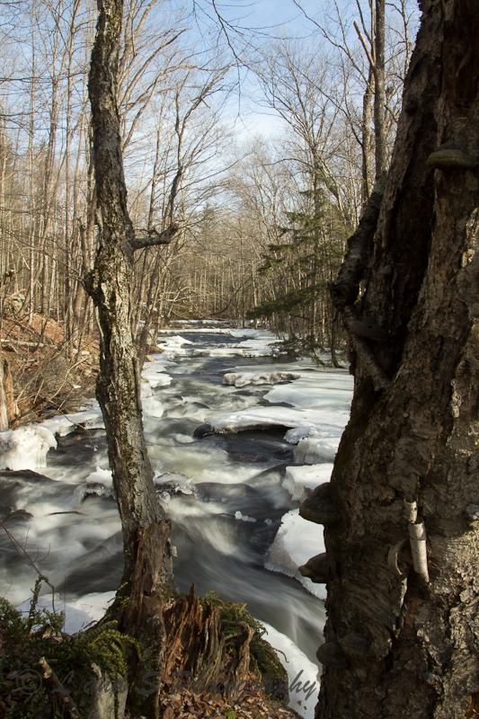 2Feb2 Harrisville-2563