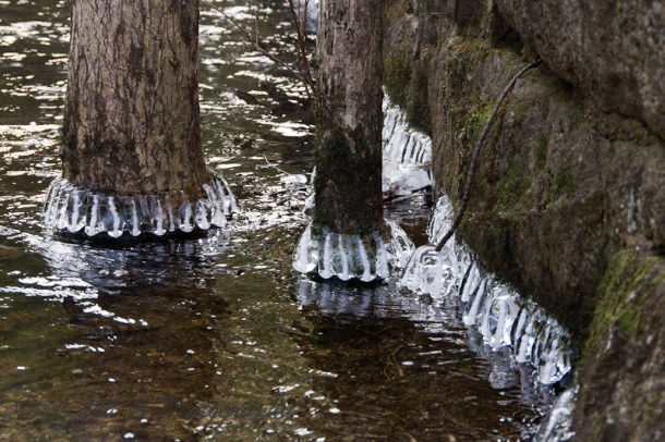 2Feb2 Harrisville-2569