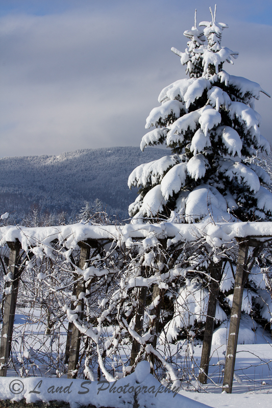 Feb25 Greenfield-3786