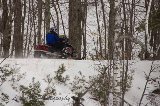 Greenfield Feb17-3128