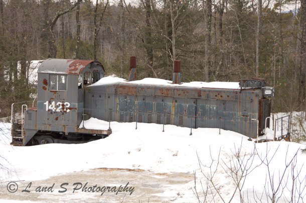 Greenfield Feb17-3175