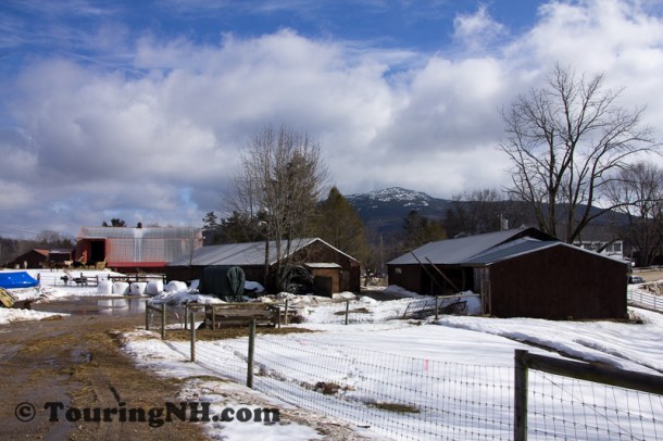 Mt Monadnock in the distance
