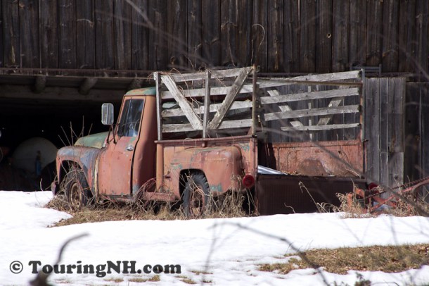 I love the old truck!