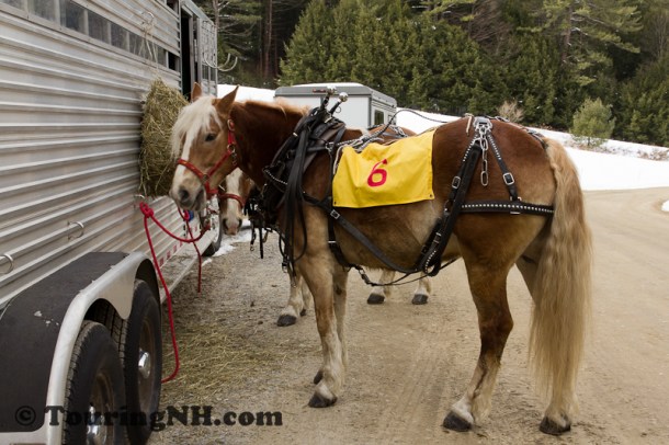 Stonewall Farm -5799