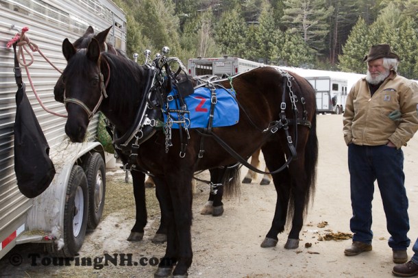 Stonewall Farm -5800