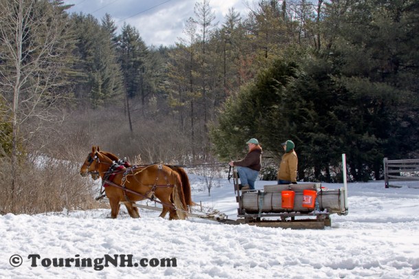 Stonewall Farm -5815-Edit