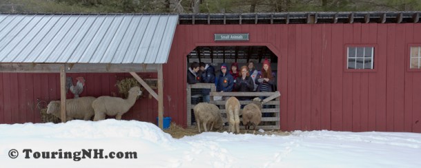 Stonewall Farm -5844