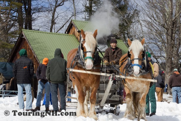 Stonewall Farm -5898