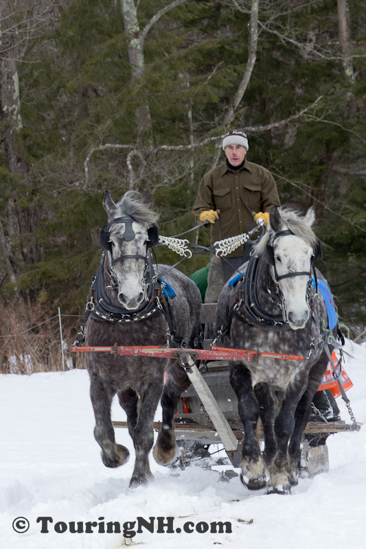 Stonewall Farm -5973