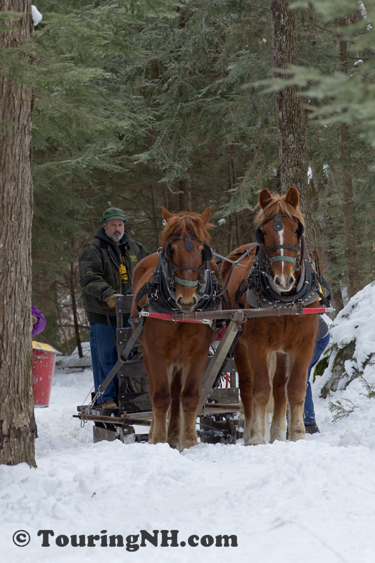 Stonewall Farm -5987