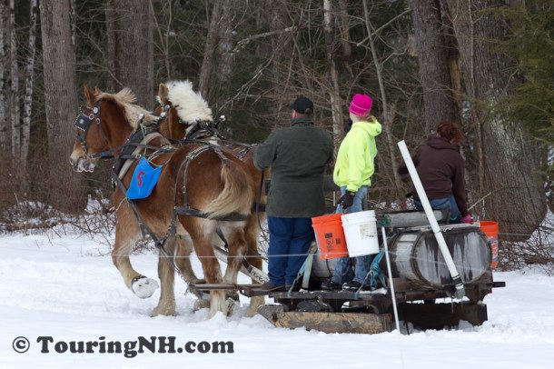 Stonewall Farm -6020