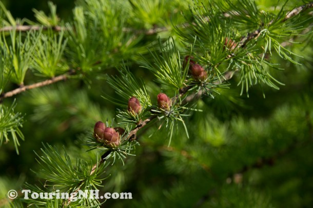 Wentworths Location-0760