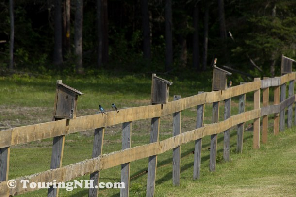 Wentworths Location-0765