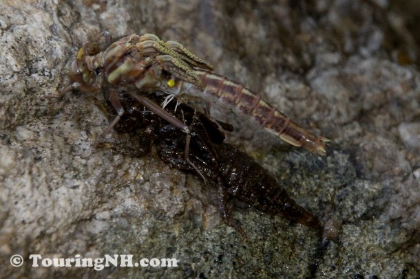 Wentworths Location-0784-Edit