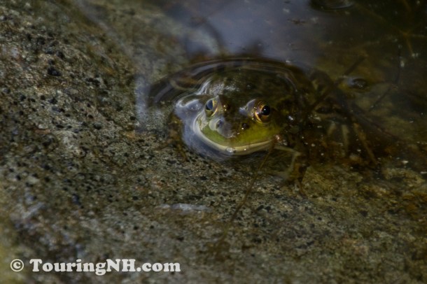 Wentworths Location-0785