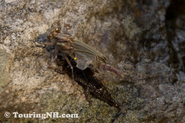 Wentworths Location-0786