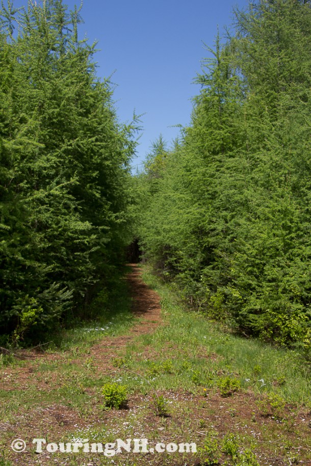 Wentworths Location-9902