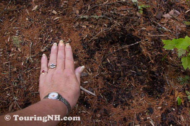 Wentworths Location-9910