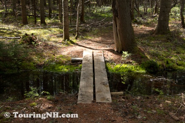 Wentworths Location-9913