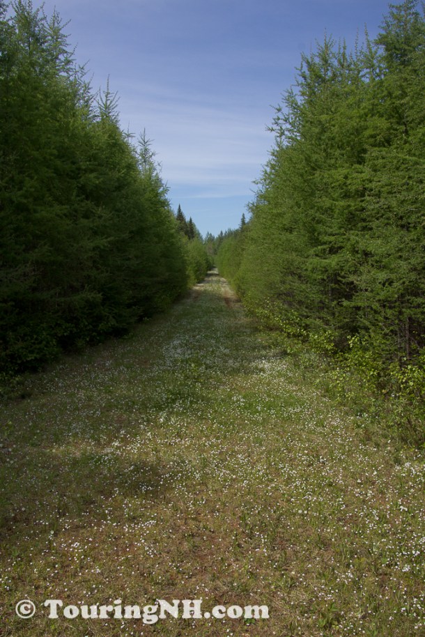 Wentworths Location-9919