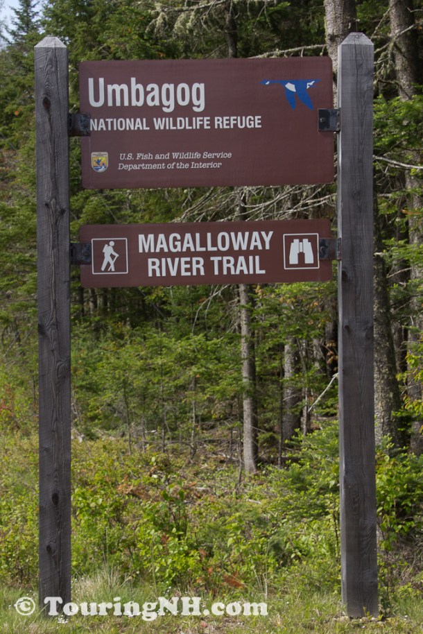 Wentworths Location-9930