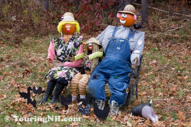 Here we had the entire pumpkin family, complete with pets