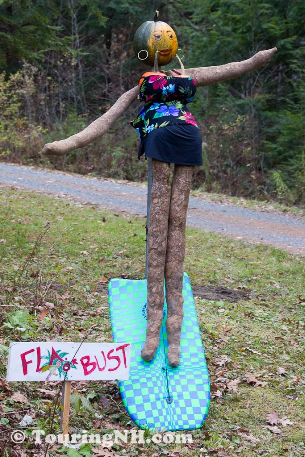 Dad, this one is for you! 