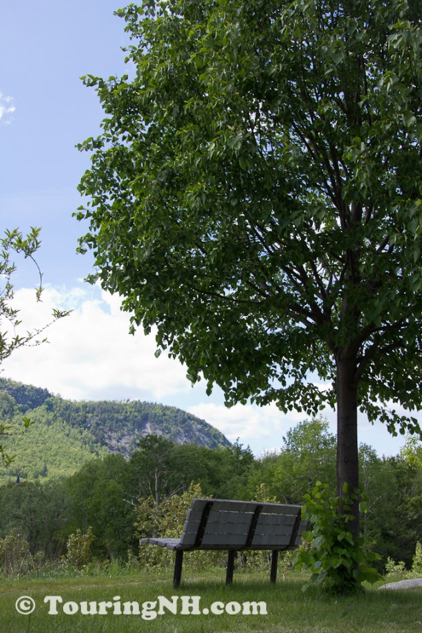 Berlin - A peaceful park.